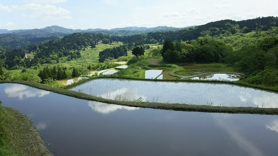 上越市清里・牧の物産展2024