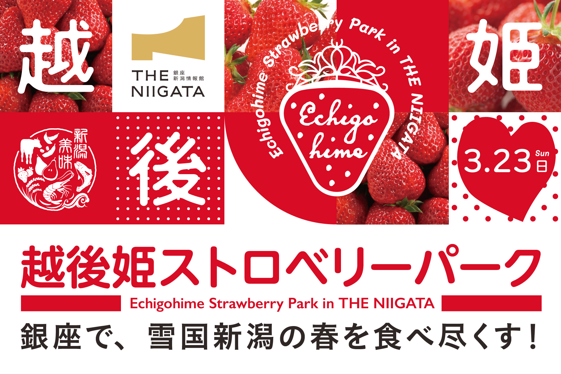 越後姫ストロベリーパーク in THE NIIGATA