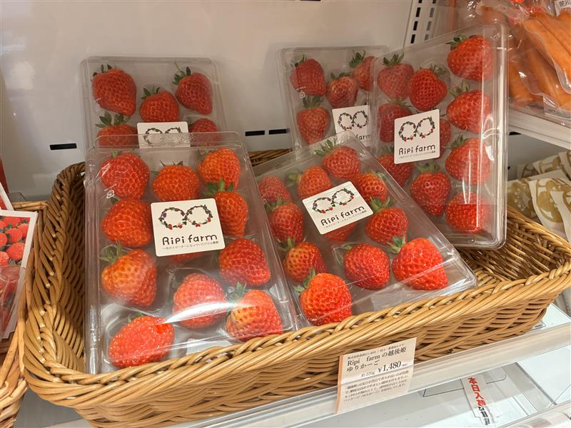 2/24更新★店舗生鮮品情報（越後姫、雪エネ熟成人参等）