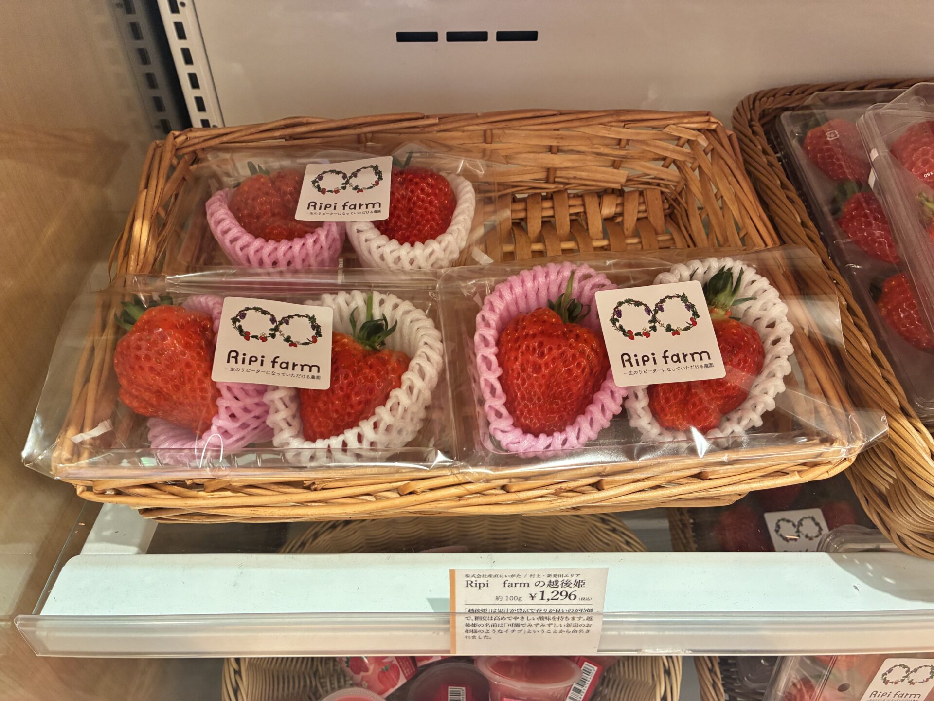 3/16更新★店舗生鮮品情報（越後姫・ふきのとう等）