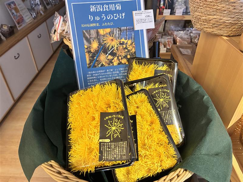 12/12更新★店舗生鮮品情報（食用菊、さつまいも）