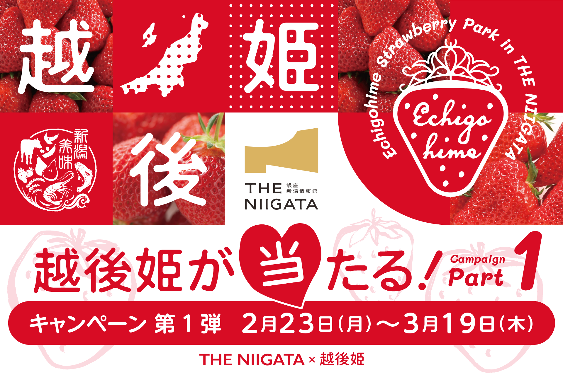 THE NIIGATA × 越後姫「フォロー＆リポストキャンペーン」開催のお知らせ🍓