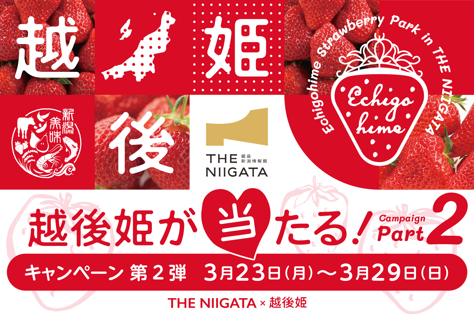 THE NIIGATA × 越後姫「フォロー＆リポストキャンペーン 第２弾」開催のお知らせ🍓