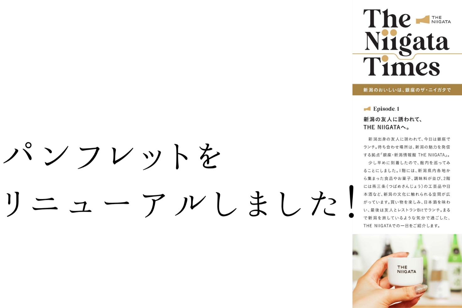 パンフレットをリニューアルしました！